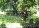 Graves at the leper colony