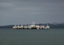 Rafts of Chinese ships in Suva harbour