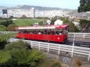 Scenic rail trip  Tram up to Botanical Graden
