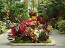 Coe Hall-Tropical Greenhouse