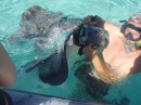 Don is mobbed by the sting rays!