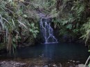 We walked to waterfall above Whangaparapara. Only small but quite pretty.