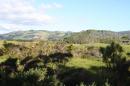Ahipara Campsite: View from the site