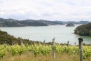 View over to Opua from Winery