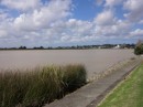 Dargaville, looking along the river
