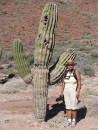 Large Cacti during our walk to the other side of the island.