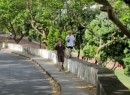 Walking in Terceira