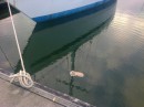 a thong floating past the boat in raby bay marina.
