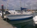 newly painted topsides in raby bay marina