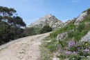 Hiking road to the lighthouse on Islas Cies. Note the zig zag section on the left.