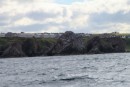 This distinctive rock formation is named on the charts: "Scar Nose". It is on the south shore of Moray Firth