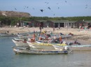 Isabela fishing village. Not such a bad life.