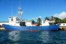 Freighter that also carries passengers to outlying Cook Islands.