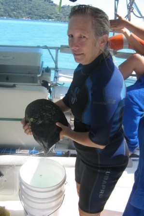 Huge mussel!!!