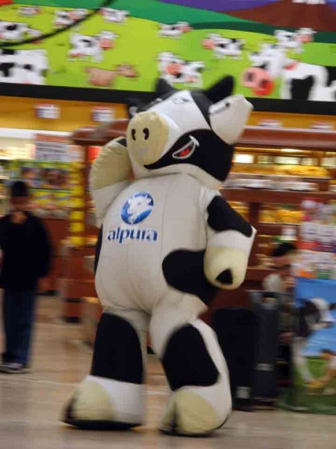 The dancing cow at the super marcado...grocery store. The cow was a good dancer!!!!