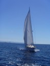 Ocean Hobo under full plain sail