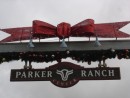 die Parker Ranch ist die 2. groesste Ranch in den USA mit ueber 55.000 Rindern