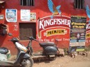 Kingfisher- das bekannteste indische Bier