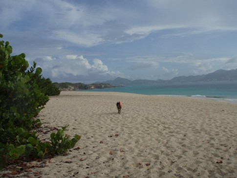 8 - Tintamarre, Saint Martin: #8 Tintamarre, Saint Martin. It is a lot of hassel to clear into a French island if you are a dog. We stayed long enough that it was worth it, and Tintamarre is a must pee if you do.