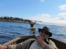 Sailing the Grandy skiff with Lisa in tow at Sucia Island.