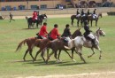 Dressage at "The Show" in Adelaide.  It
