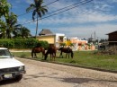 Go to the Capitania del Puerto to check in and encounter horses in town