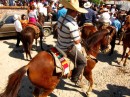 They train their horses to dance to banda music