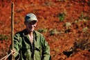 This farmer was wearing his old army jacket and plowing the red earth of Vinales. A flock of chickens followed him,eating bugs and other delicacies unearthed by the plow.