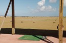 This is a picture of the golf course in Bonaire. In the background there is a herd of goats.