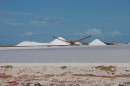 At the South end of Bonaire were the solar sea salt works. The piles of salt were almost as high as the piles of wood chips that you see in B.C.