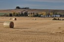 Calgary farmland
