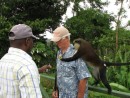 Monkey hangs on to Terry as he takes the banana from Cutty, our taxi driver.