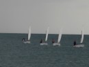 Racing sailboats in Placencia.