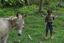 A young Dominican boy and his donkey