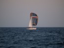 boingo alive flying spinnaker with triple reefed main behind it...good idea