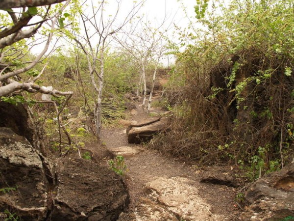 nature trail on san cristobal