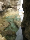 Shoreline close-up, Niue.