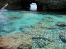 Shoreline coral, Niue.