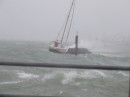 Sailboat blown against breakwater at Westhaven Marina, Auckland
