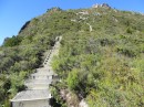 Stairway, Pinnacles track, Coromandel Peninsula