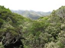 View near Mt. Taranaki.
