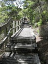 Walking trail on Rangitoto Island