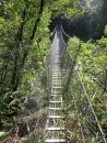 Footbridge on the track to the Pinnacles, Coromandel Peninsula