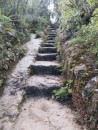 Stone stairs on the Pinnacles track, Coromandel Peninsula