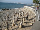 Rock art, Puerto Vallarta. Take a picture and leave a tip.