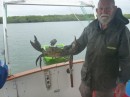 A monster Port Clinton mud crab. 18-7-12