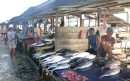 Fish market, Saumlaki. 14-8-13