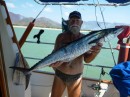 Spanish Mackerel caught when leaving Howick Island en-route to Cape Melville. 26-10-12