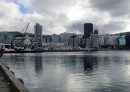Wellington harbour