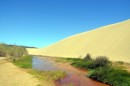 Sand dune in the Te Paki Recreation Reserve